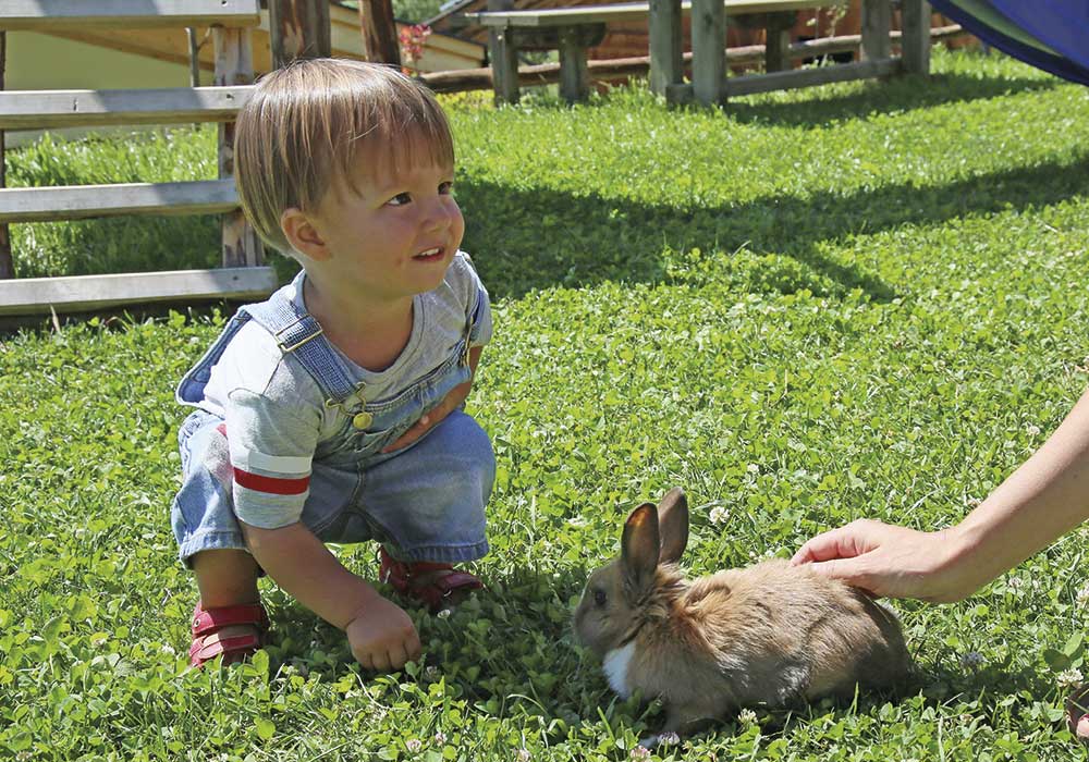 Pension Unterkunft Bauernhof Vahrn Brixen Familienurlaub