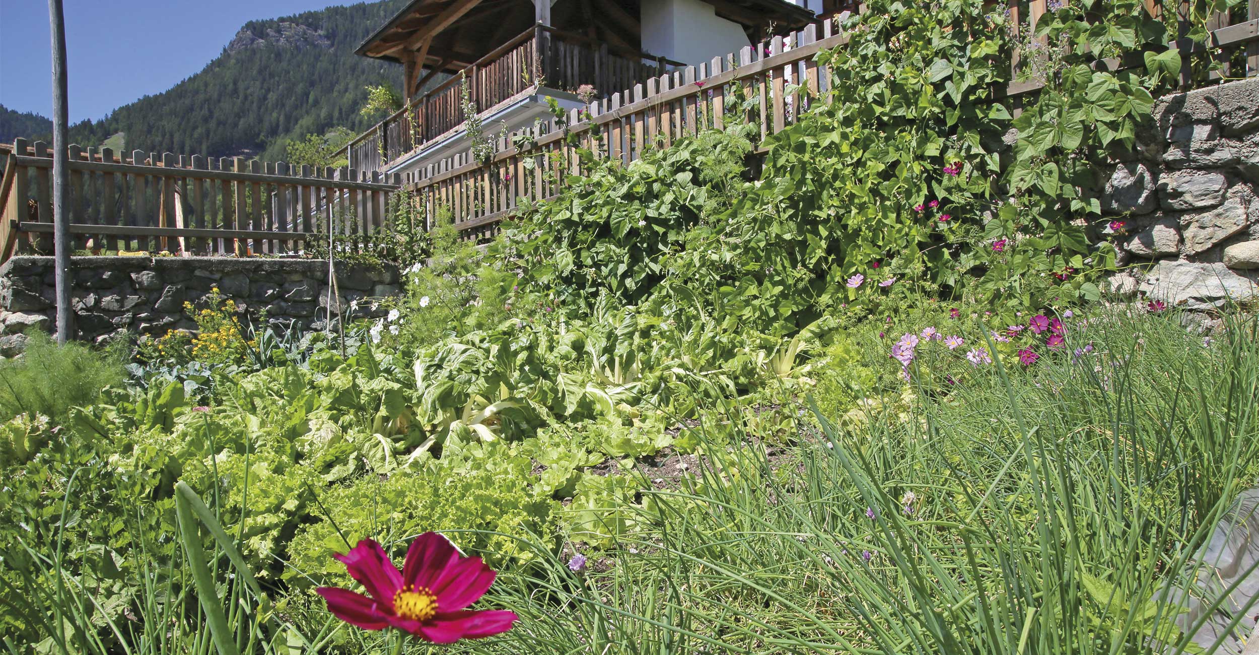 Bio-Bauernhof in Vahrn Brixen Südtirol