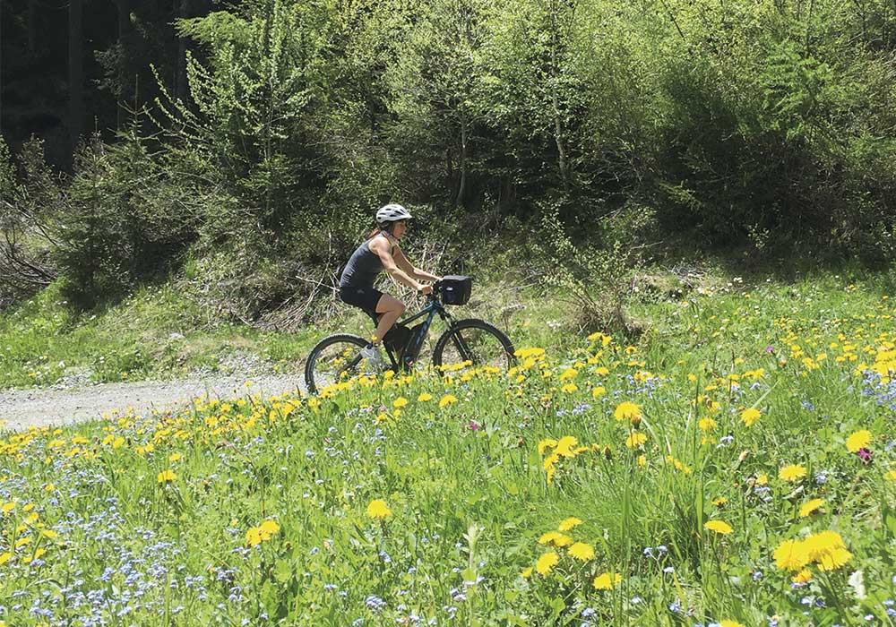 Urlaub auf dem Bauernhof Pension Eisacktal Brixen Franzensfeste